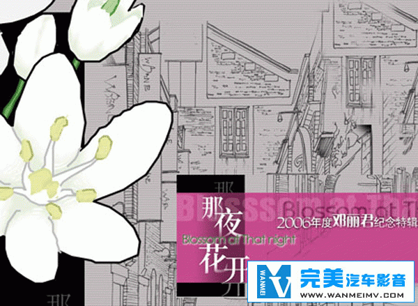  [VIPר]-ŵ -ҹ UPDTS WAVֹ(1)