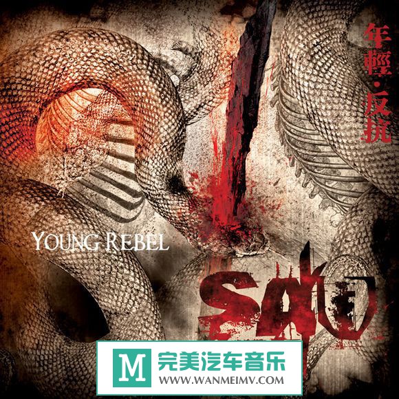 ҡר-S.A.W. ֶӡYoung Rebel ᷴ2010/MP3/BD(1)